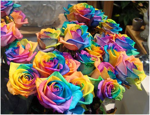 радужные розы в Хабаровске