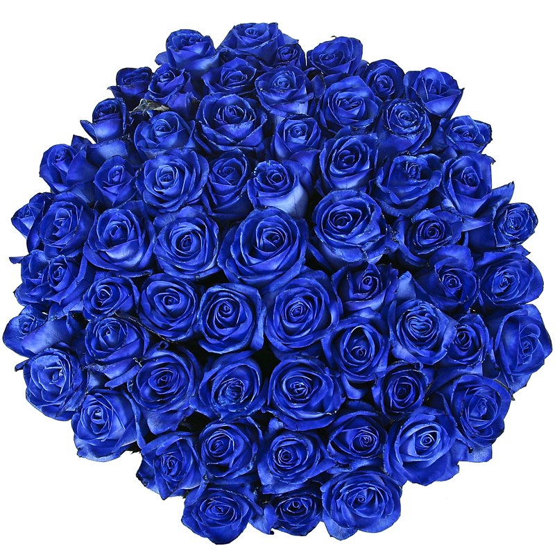 Синие розы, доставка цветов Хабаровск, цветы Хабаровск, заказ цветов Хабаровск