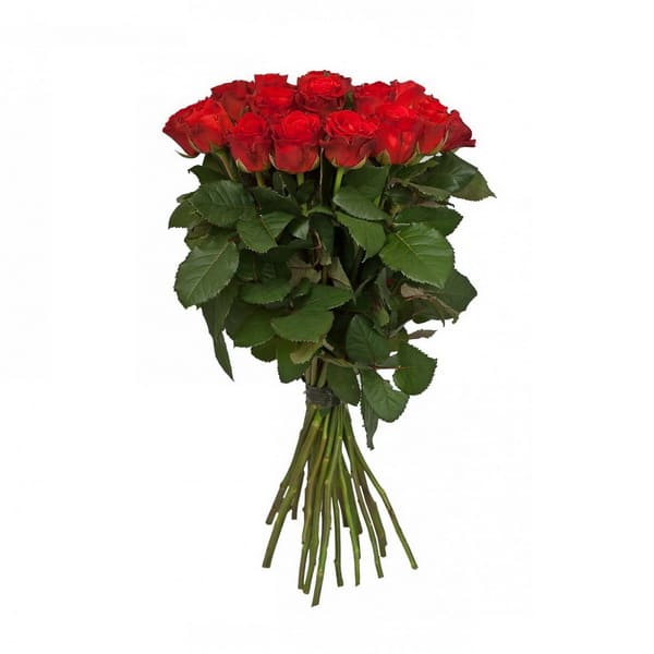 купить длинные розы в Хабаровске с доставкой, гигантские розы, метровые розы