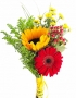 доставка цветов Хабаровск, цветы Хабаровск, заказ цветов Хабаровск, купить цветы в Хабаровске с доставкой